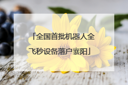 全国首批机器人全飞秒设备落户襄阳